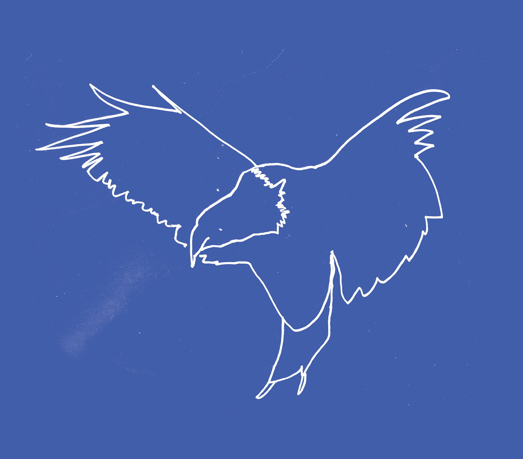 alt=